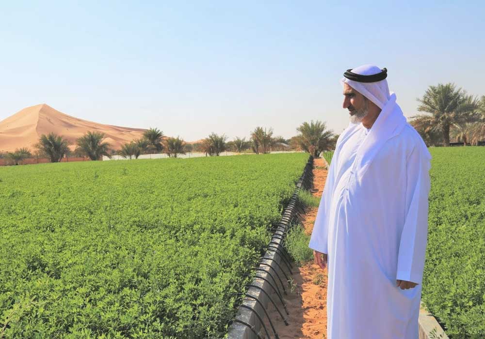 نموذج طلب مزرعة من الديوان